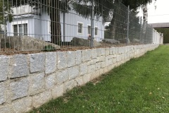 image00031